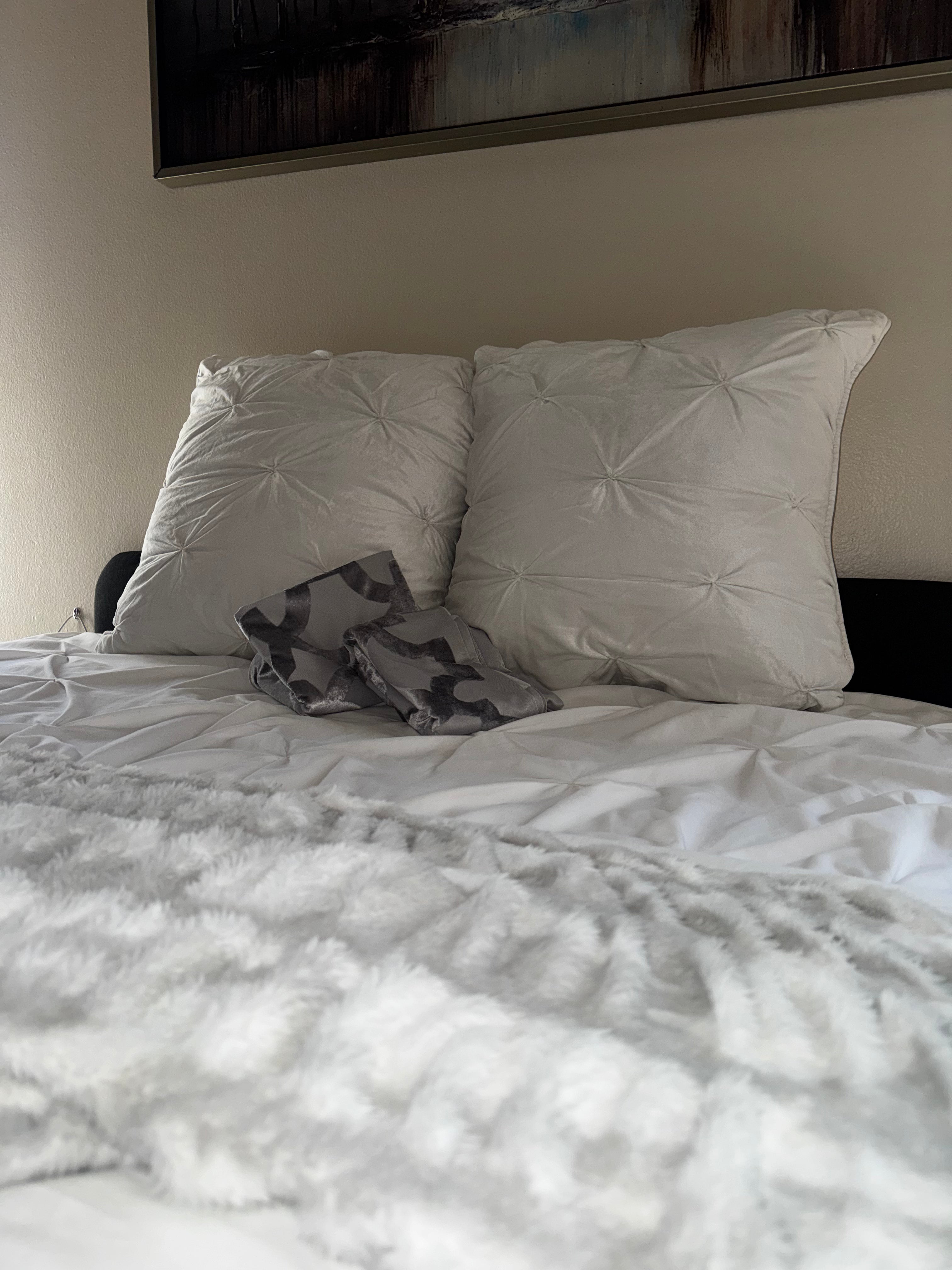 Z- Gallerie Bedding Set