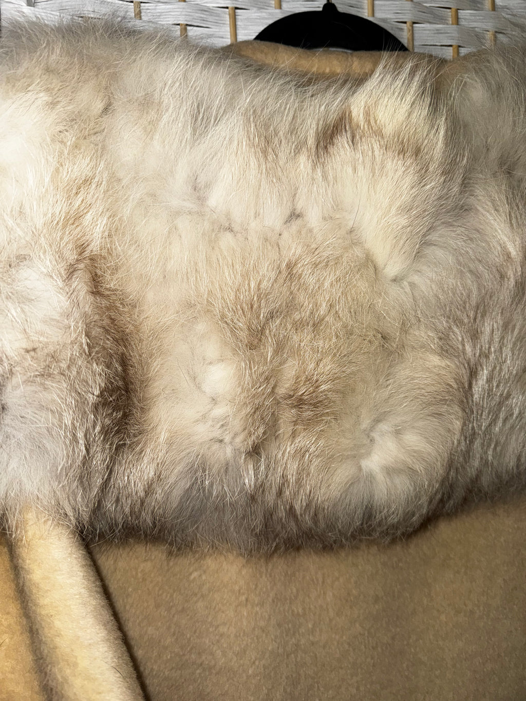 Fur Coat