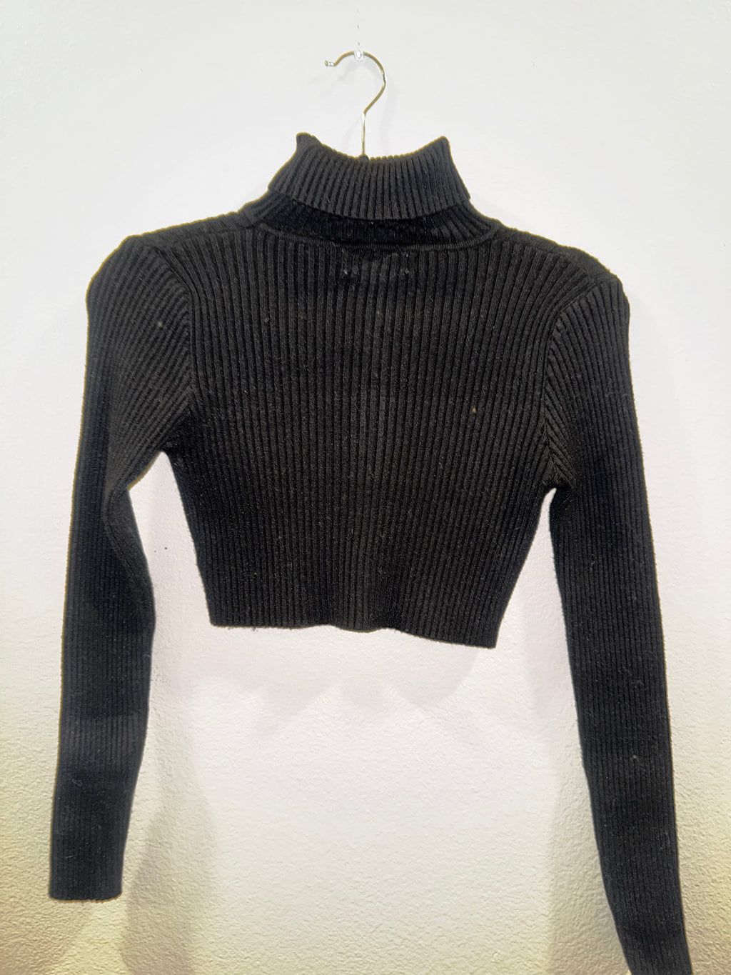 Long-Sleeved Cropped Top