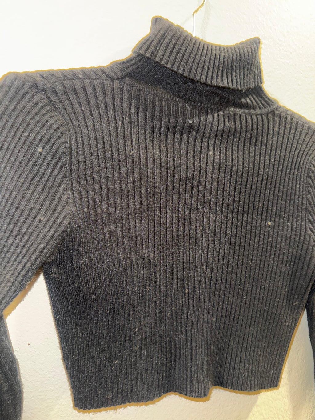 Long-Sleeved Cropped Top