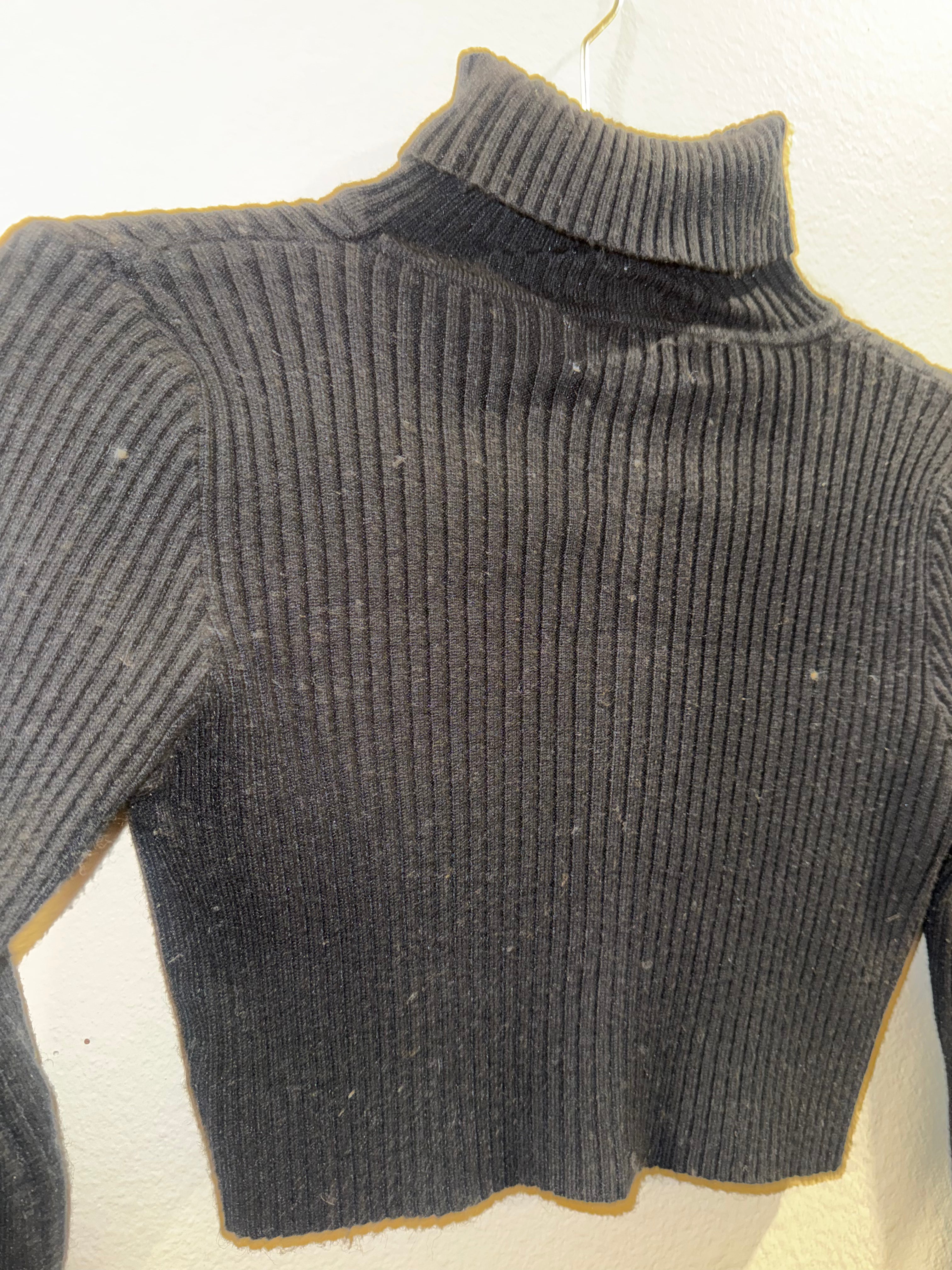 Long-Sleeved Cropped Top
