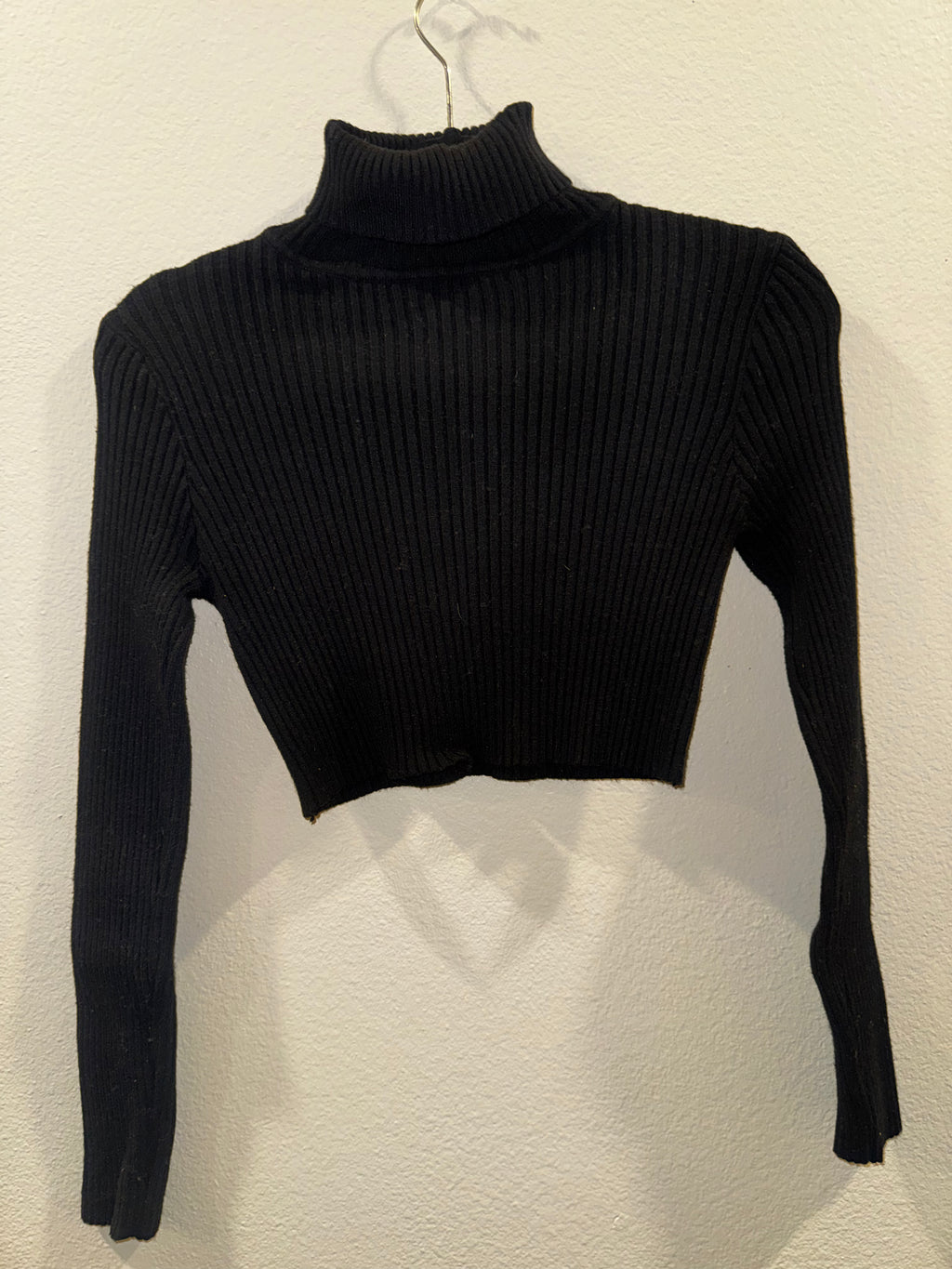 Long-Sleeved Cropped Top
