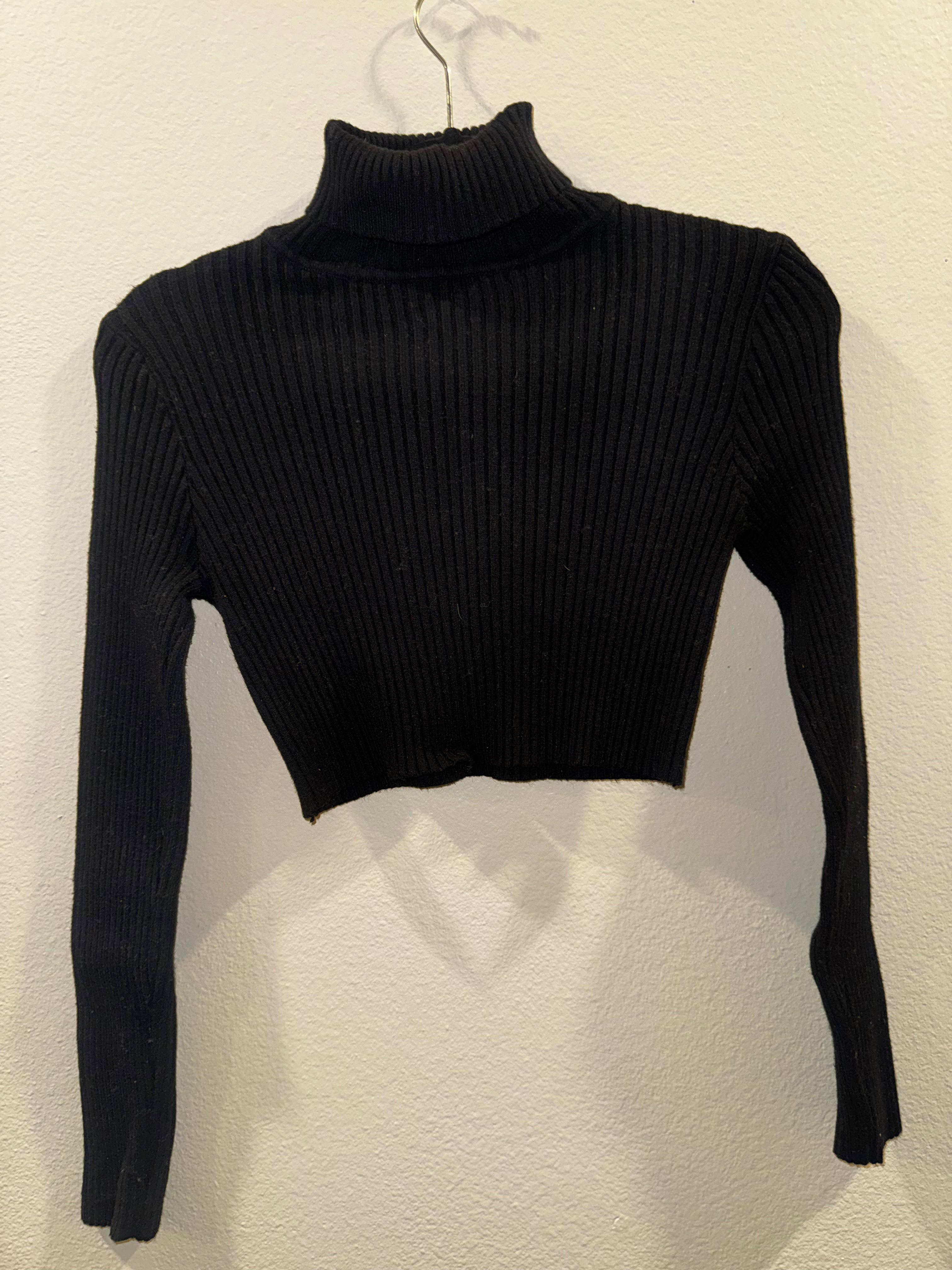 Long-Sleeved Cropped Top