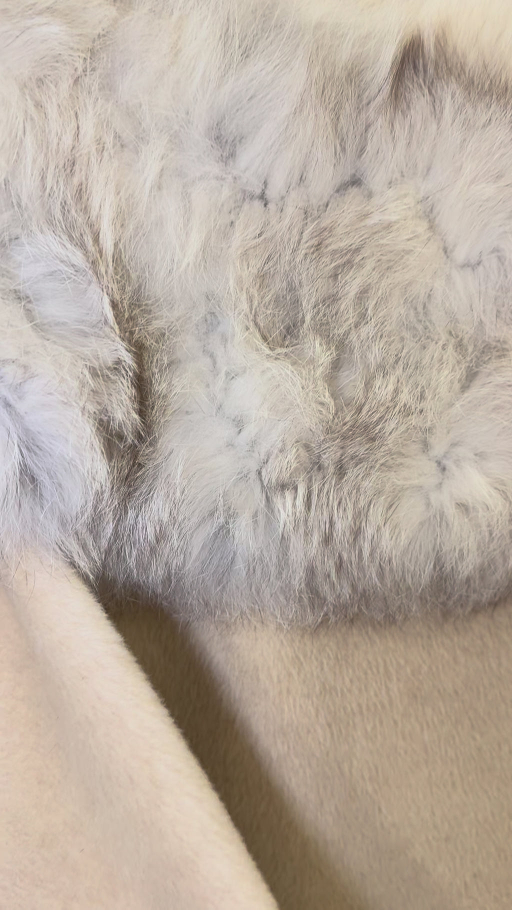 Fur Coat
