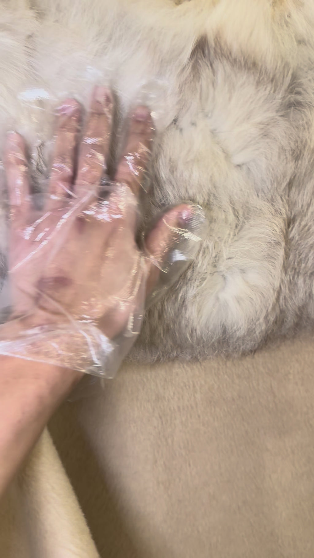 Fur Coat